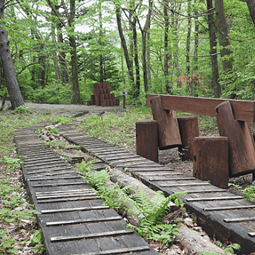 <栃木>ホビーの里 箱の森プレイパーク【塩原温泉バスターミナル】<span class="price-others">ひと部屋の宿泊料</span> - 画像 (4)