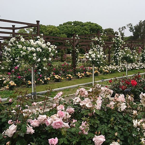 ＜大阪＞長居植物園（要申請）【長居駅】<span class="price-others">入園料の料金</span>