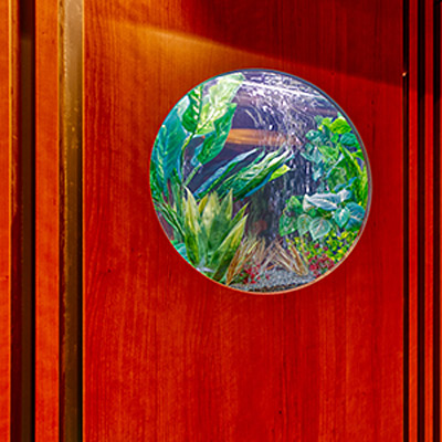 <岐阜>アルティア大垣店 212 水槽 【友江駅】 - 画像 (3)