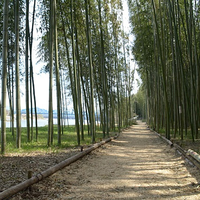 <岐阜>かぐや姫の散歩道(木曽川渡し場遊歩道)【今渡駅】