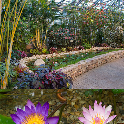 ＜三重＞なばなの里【長島駅】<span class="price-others">おひとりの入場料</span> - 画像 (2)