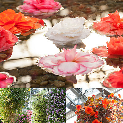 ＜三重＞なばなの里【長島駅】<span class="price-others">おひとりの入場料</span> - 画像 (3)