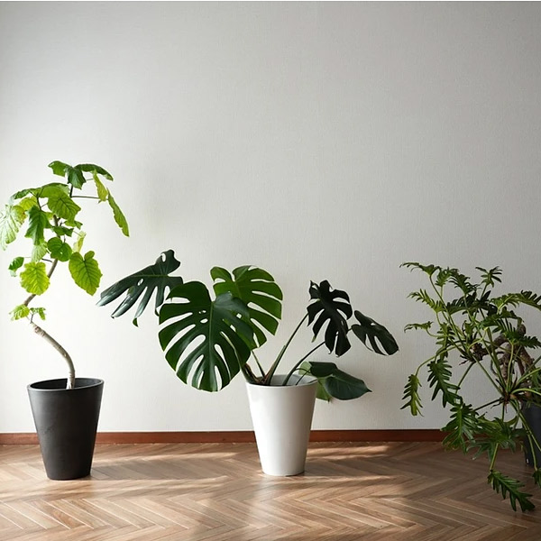 ＜和歌山＞スタジオ アディション 3F STUDIO【紀三井寺駅】 - 画像 (3)