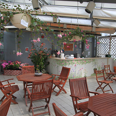 ＜大阪＞大阪府立花の文化園 【奥河内くろまろの郷バス停】<span class="price-others">おひとりの料金</span> - 画像 (3)