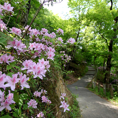＜大阪＞大阪府立花の文化園 【奥河内くろまろの郷バス停】<span class="price-others">おひとりの料金</span> - 画像 (7)