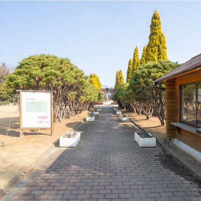 <福島>いわき市フラワーセンター【いわき駅】<span class="price-others">入場料無料</span> - 画像 (2)