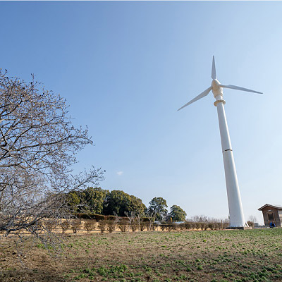 <福島>いわき市フラワーセンター【いわき駅】<span class="price-others">入場料無料</span> - 画像 (3)