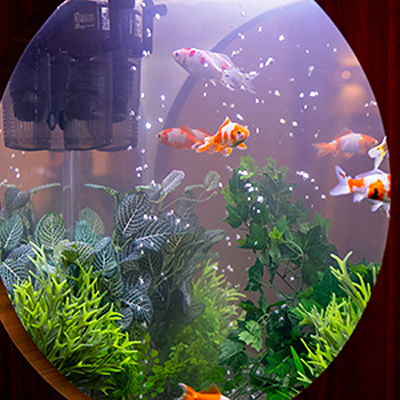 <滋賀>ホテルで撮影 ロータス大津304【瀬田駅】 - 画像 (3)