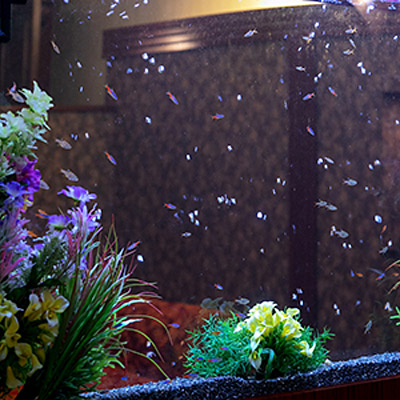 ＜滋賀＞ホテルで撮影 ロータス大津404【瀬田駅】 - 画像 (3)