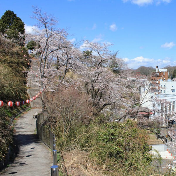 ＜福島＞御幸山公園 【旅館こいと近隣】<span class="price-others">入場料無料</span>