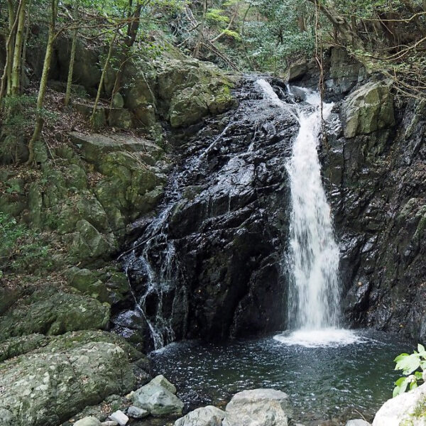 ＜福島＞川上渓谷・不動滝 【旅館こいと近隣】<span class="price-others">入場料無料</span>