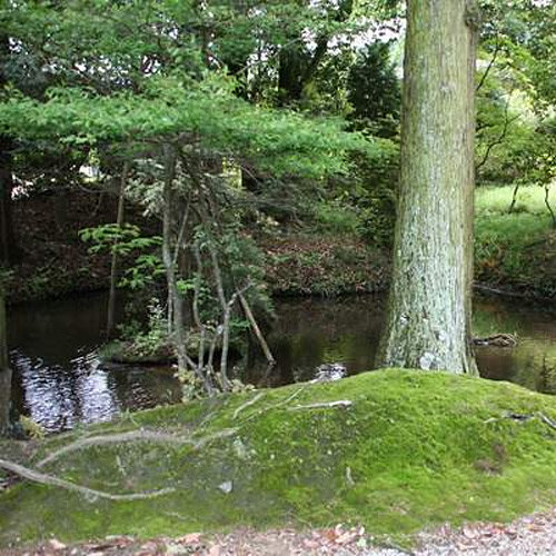 ＜奈良＞柳生八坂神社<span class="price-others">入場料無料</span> - 画像 (2)