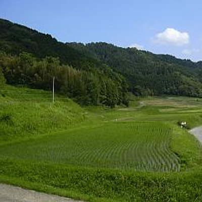 ＜奈良＞自然の風景<span class="price-others">入場料無料</span>