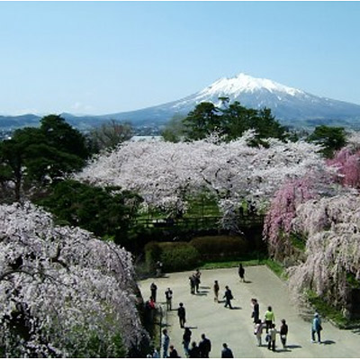 ＜青森＞弘前公園 2600本の桜【弘前駅】<span class="price-others">入場料無料</span> - 画像 (2)