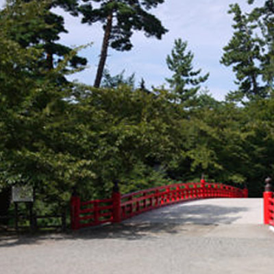 ＜青森＞弘前公園 2600本の桜【弘前駅】<span class="price-others">入場料無料</span> - 画像 (5)