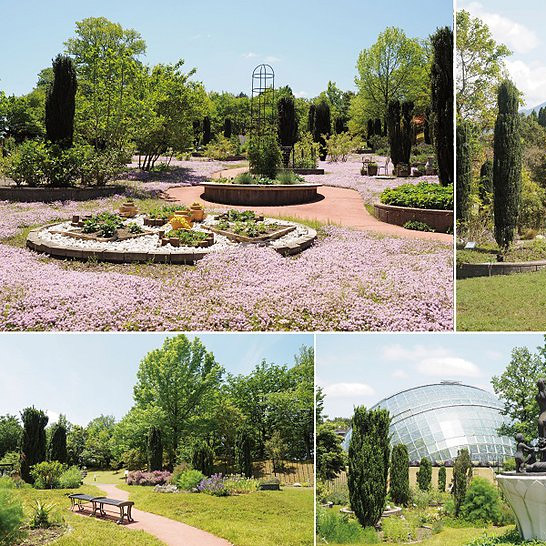 ＜鳥取＞とっとり花回廊　要申請【米子駅から無料バス】