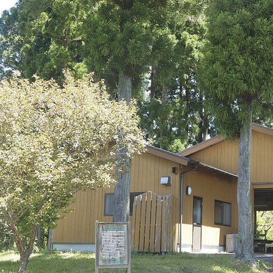 ＜鳥取＞とっとり花回廊　要申請【米子駅から無料バス】 - 画像 (2)