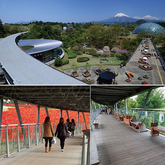 ＜鳥取＞とっとり花回廊　要申請【米子駅から無料バス】 - 画像 (3)