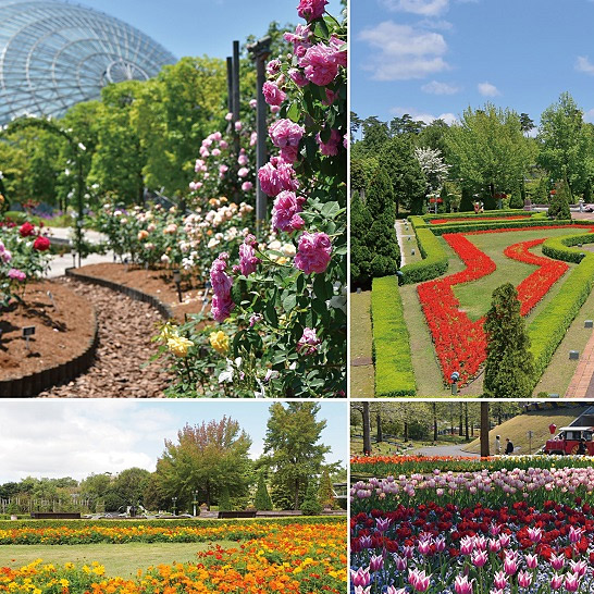 <鳥取>とっとり花回廊 要申請【米子駅から無料バス】 - 画像 (4)