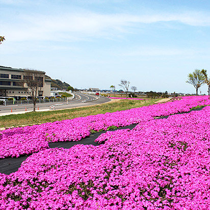 ＜鳥取＞東郷湖羽合臨海公園【倉吉駅】 - 画像 (2)