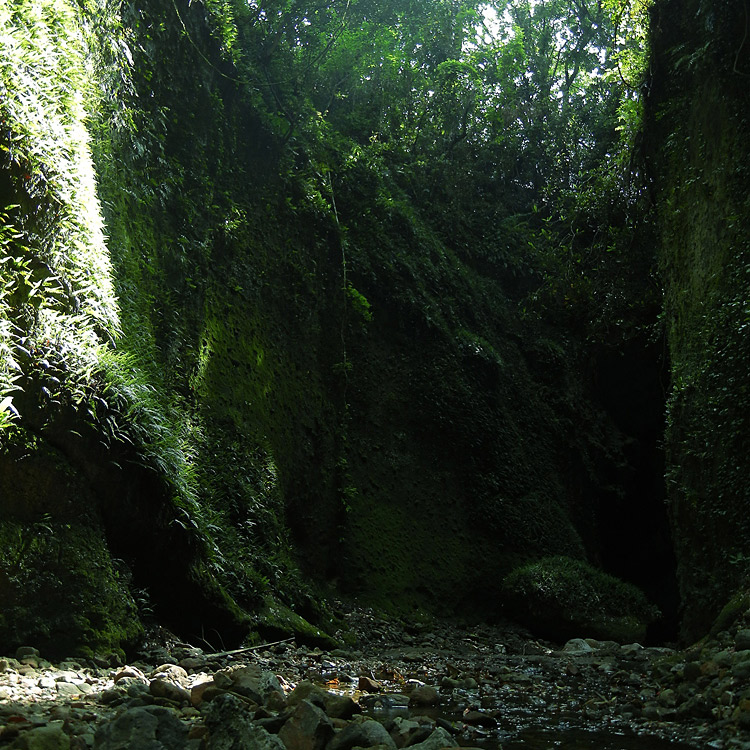 ＜高知＞伊尾木洞(安芸市)【大橋通駅】<span class="price-others">入場料無料</span>