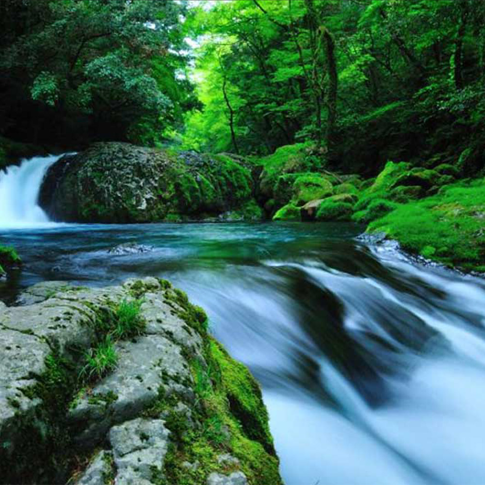 <熊本>菊池渓谷 自然休養林<span class="price-others">入場料無料</span>