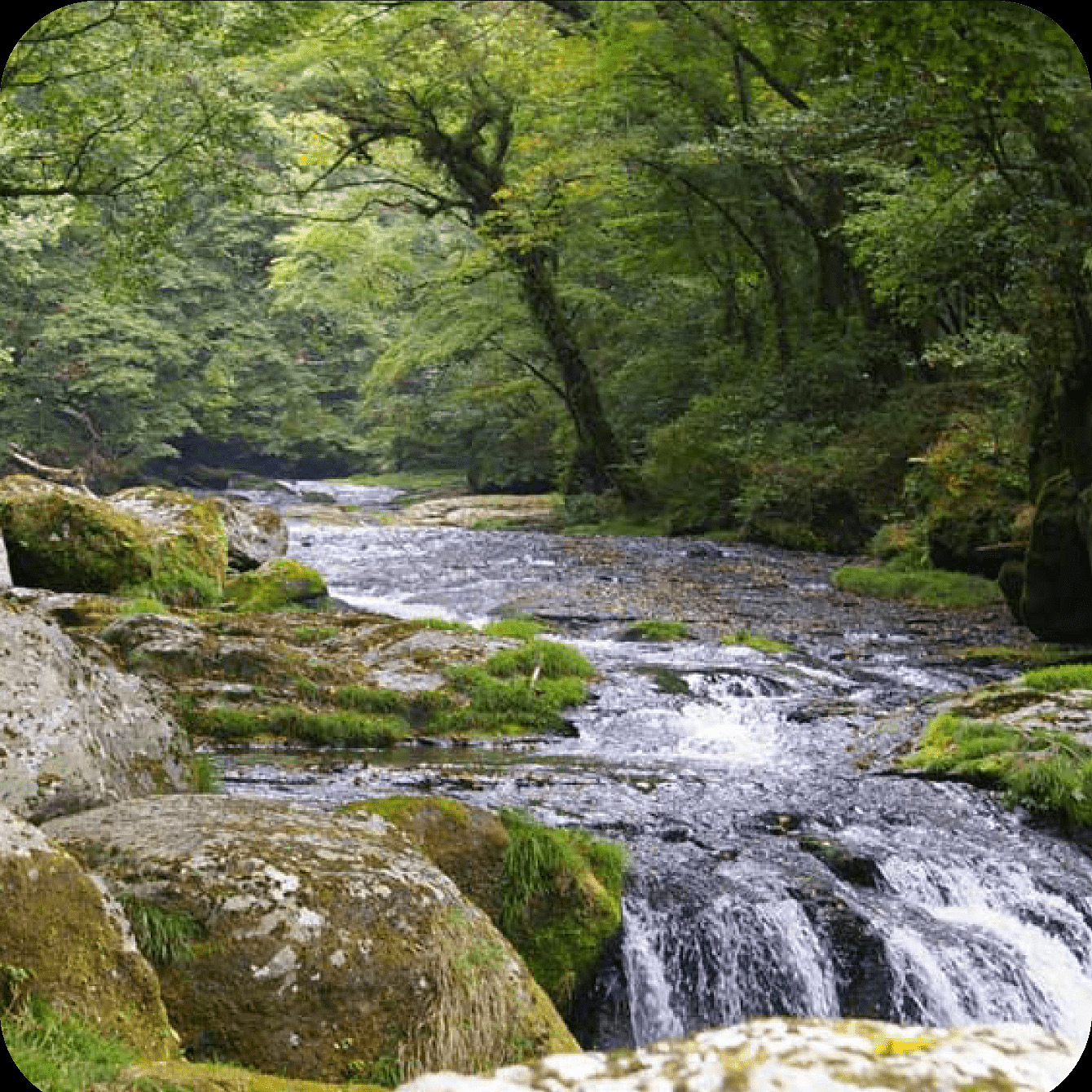 ＜熊本＞菊池渓谷　自然休養林<span class="price-others">入場料無料</span> - 画像 (2)