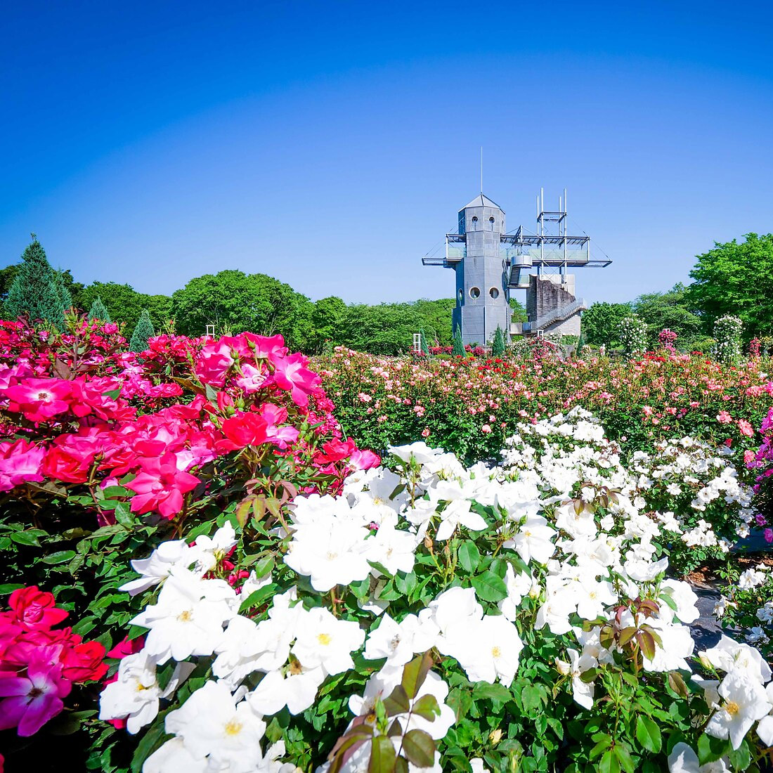 ＜熊本＞カントリーパーク【御代志駅】<span class="price-others">おひとりの入場料</span>