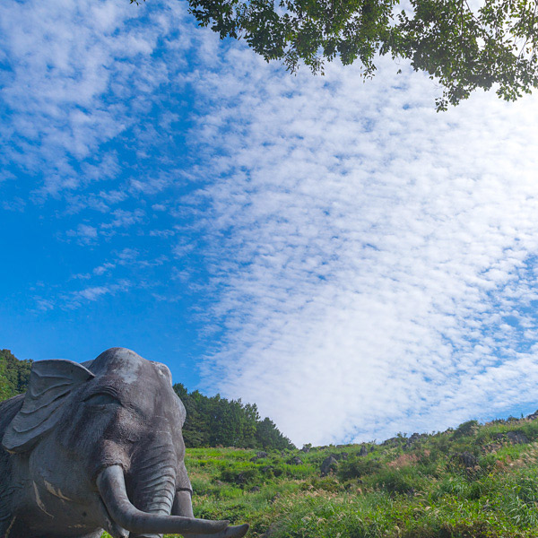 ＜高知＞佐川ナウマンカルスト(佐川町)<span class="price-others">入場料無料</span>