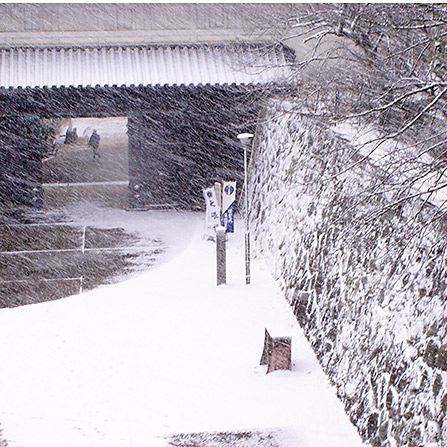 <佐賀>佐賀城公園 要申請【佐賀駅】<span class="price-others">入場料無料</span> - 画像 (3)