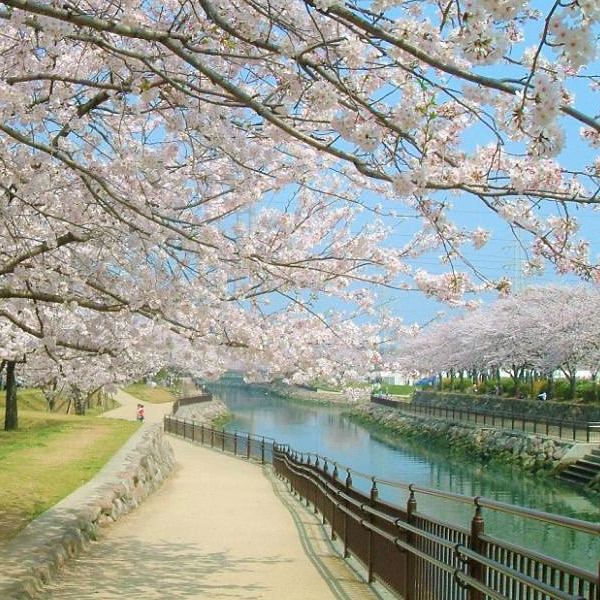 ＜大分＞平和市民公園【牧駅】<span class="price-others">入場料無料</span> - 画像 (2)