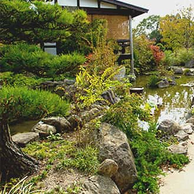 ＜鹿児島＞農園ガーデン空【阿久根駅】<span class="price-others">おひとりの入場料</span> - 画像 (2)