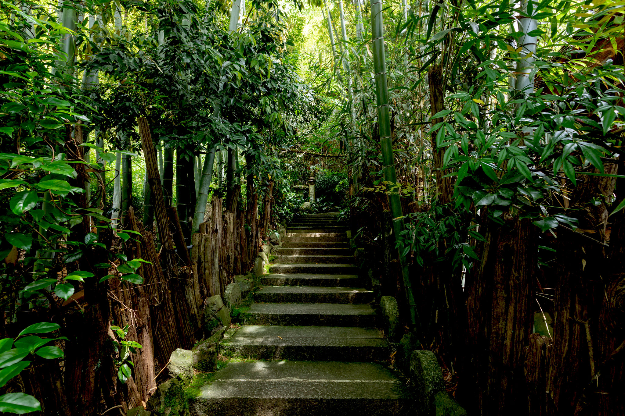 image-gennai01