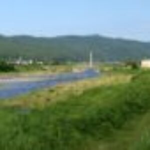 yuyu_nyan さんのプロフィール写真